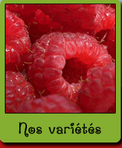 varietes